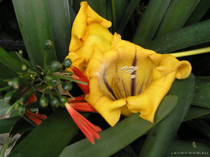 2006_11_22 11_39_02 OLYMPUS DIGITAL CAMERA         